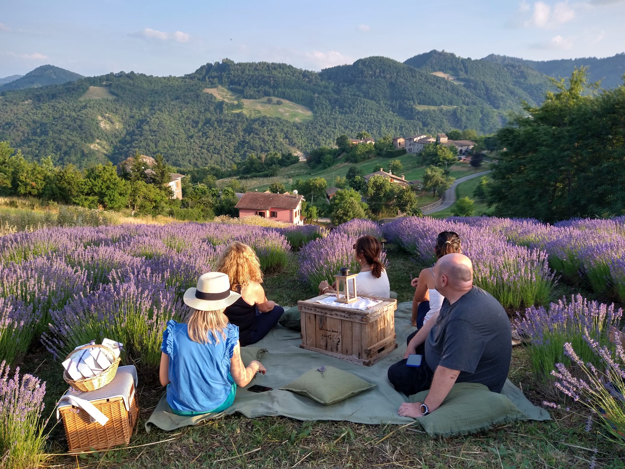 Tinifa Picknick nel campo
