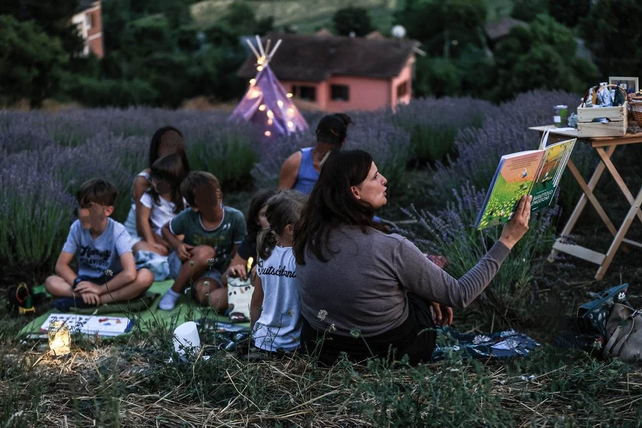 Tinifa Lettura nel campo